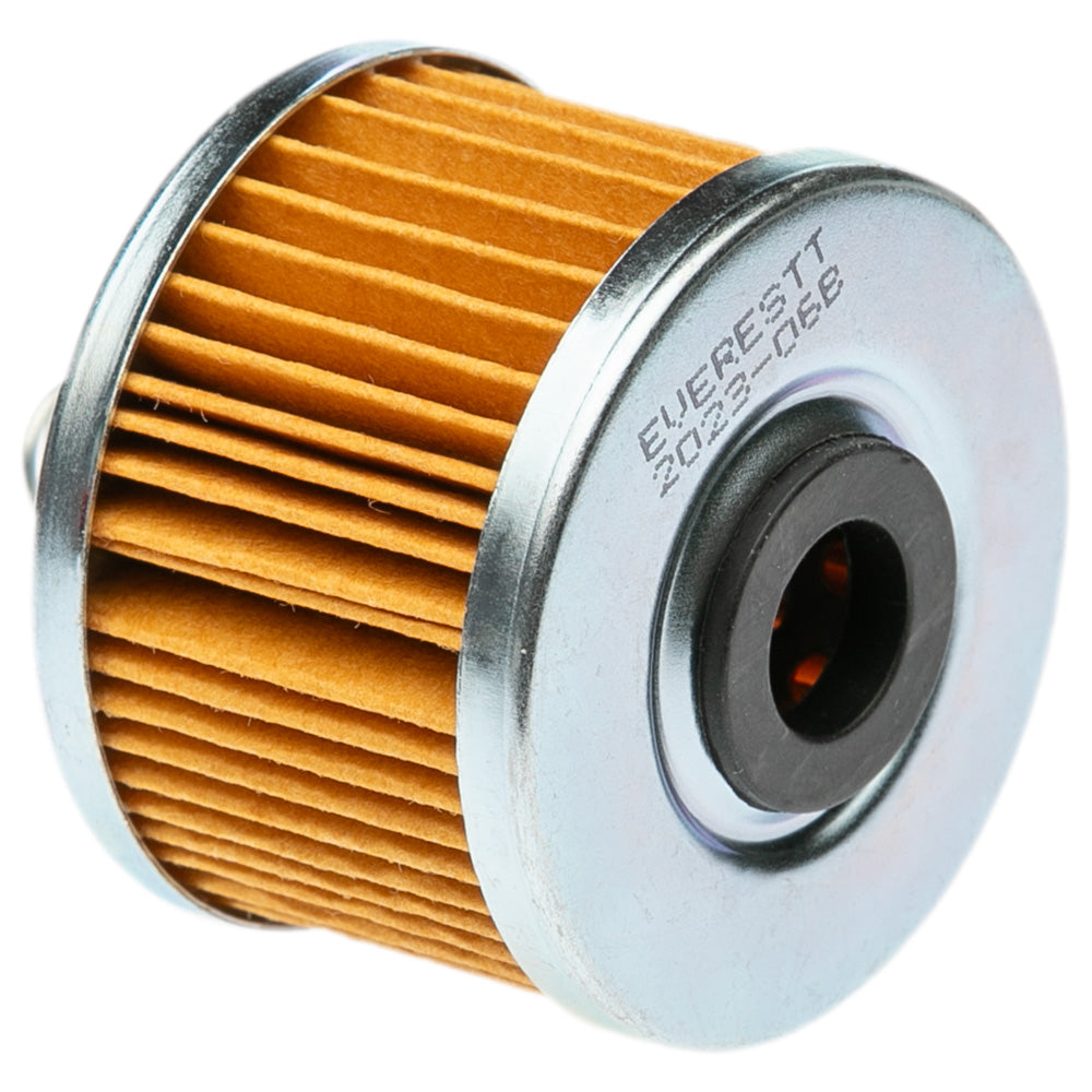 Filtro aceite Everestt