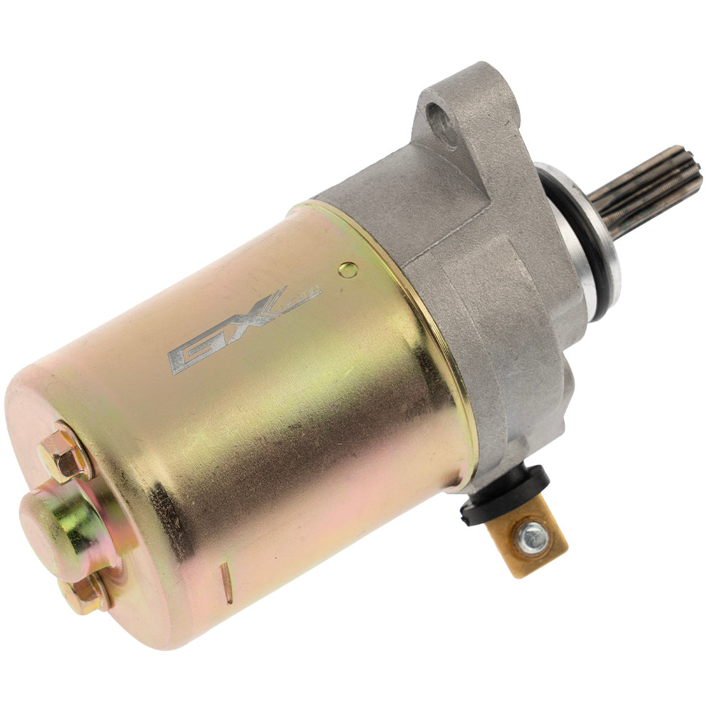 Starter BWS 100 GX Motor