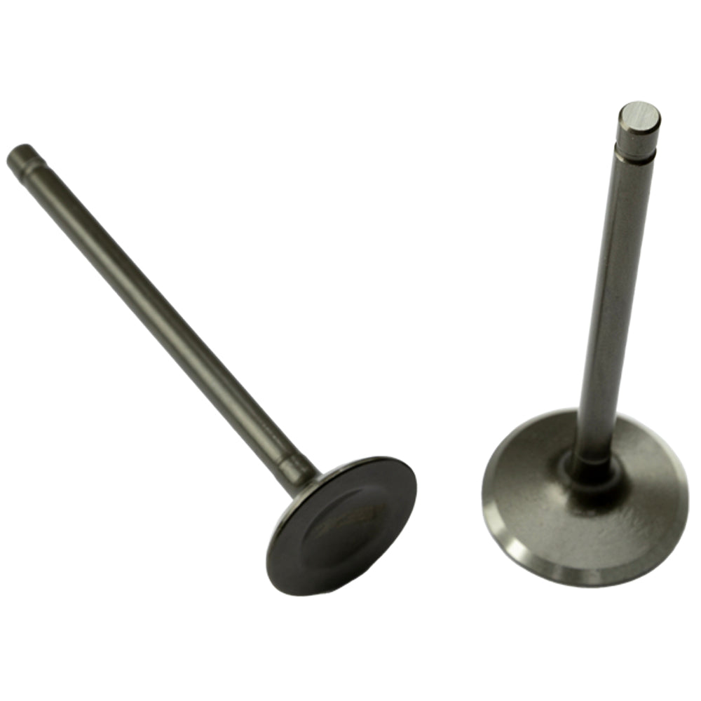 Válvula de admisión/escape VIVA 115 GX Motor