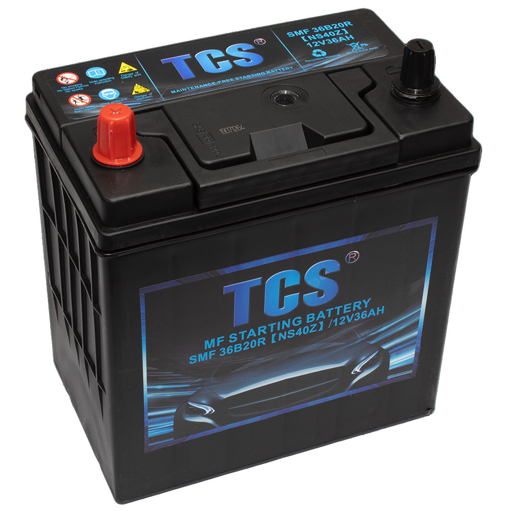 Batería TCS para motocarro SMF 36B20R