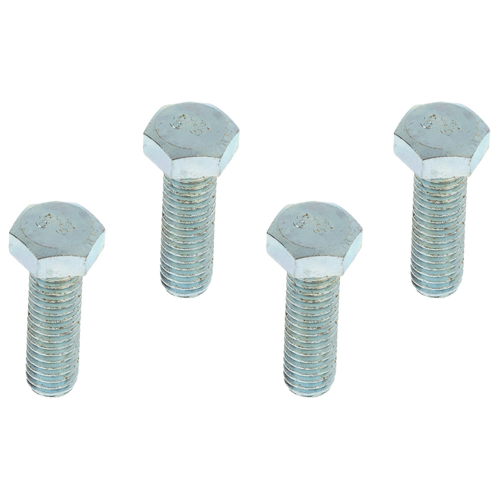 Kit completo de suspensión delantera Boxer CT 100 GX