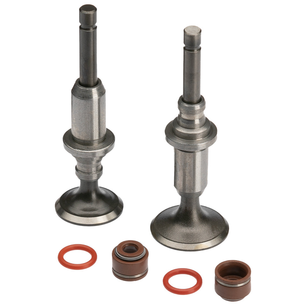 Válvula de admisión/escape Boxer CT 100 GX Motor