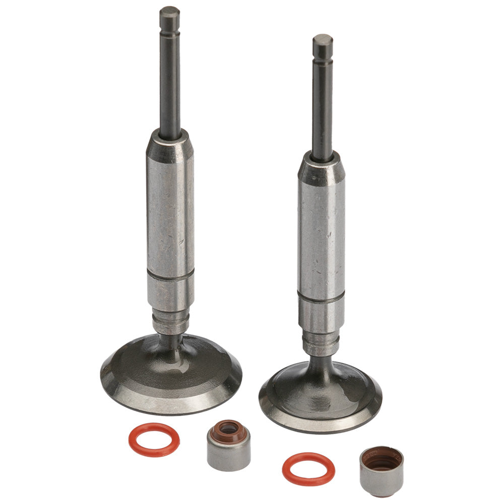 Válvula de admisión/escape Pulsar 180 GX Motor