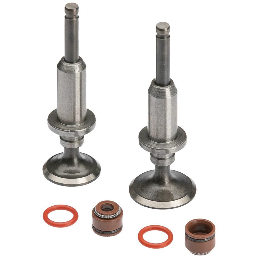 Válvula de admisión/escape Eco Deluxe GX Motor