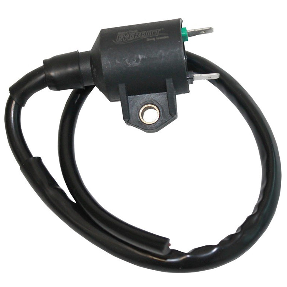 Bobina de encendido Boxer CT 100/Agility 125 Everestt