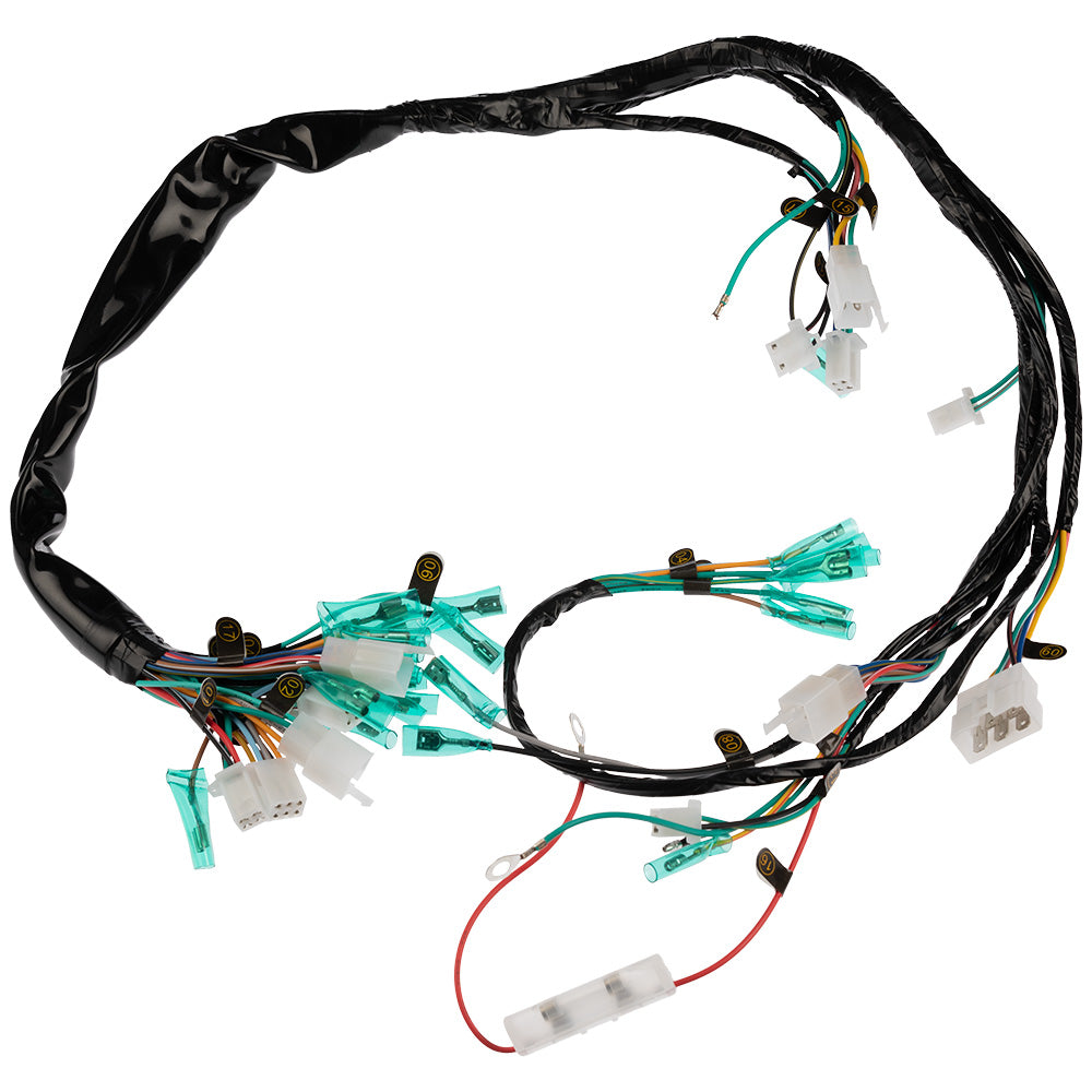 Instalación eléctrica AKT 125 NKD GX Motor