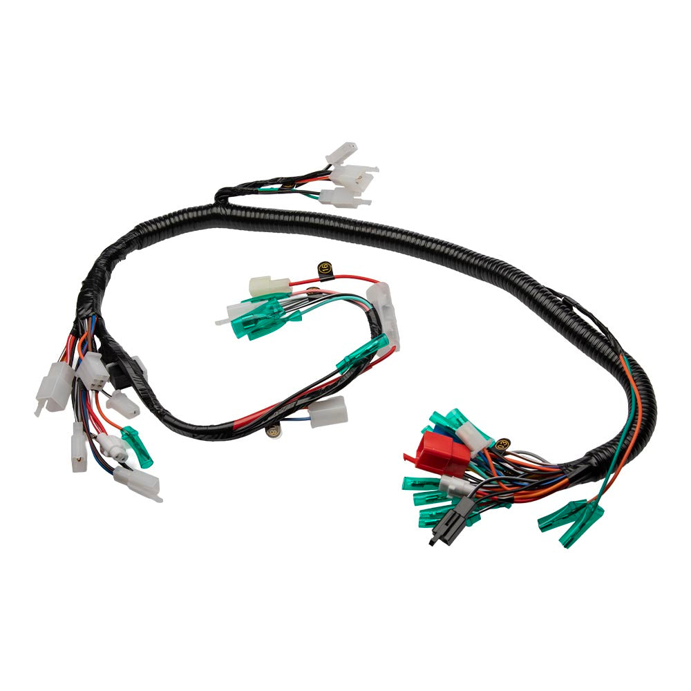 Instalación eléctrica TVS 100 Sport GX Motor