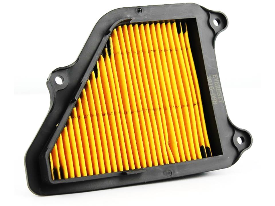 Filtro de aire AX4 Everestt