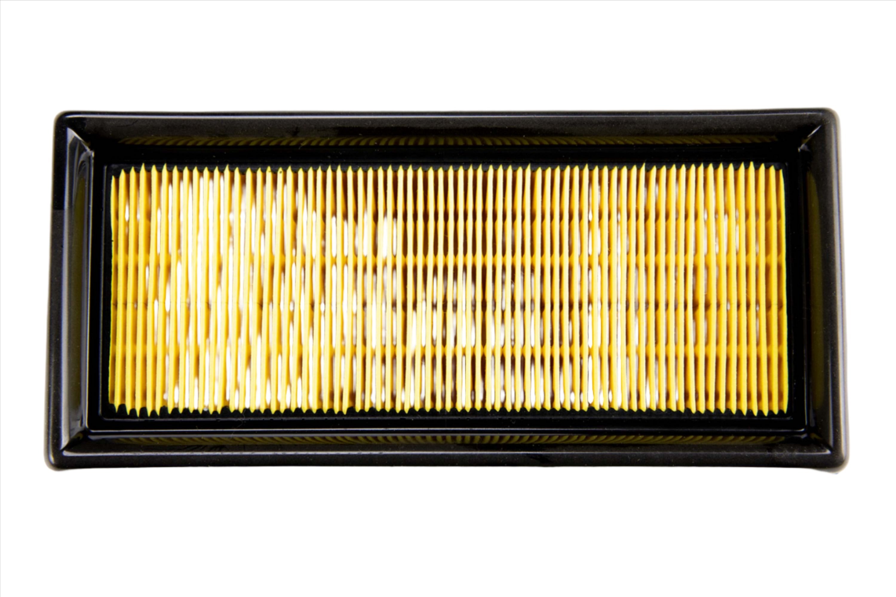 Filtro de aire Pulsar NS 200 Everestt