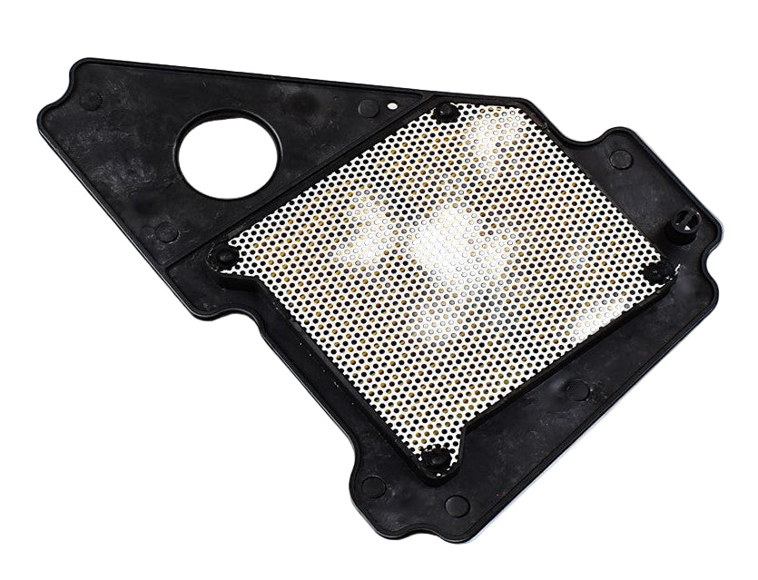 Filtro de aire Libero 125/YBR 125 GX Motor