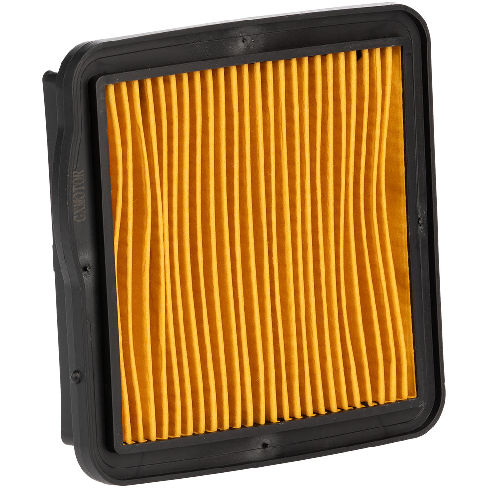 Filtro de aire completo CBF 125 GX