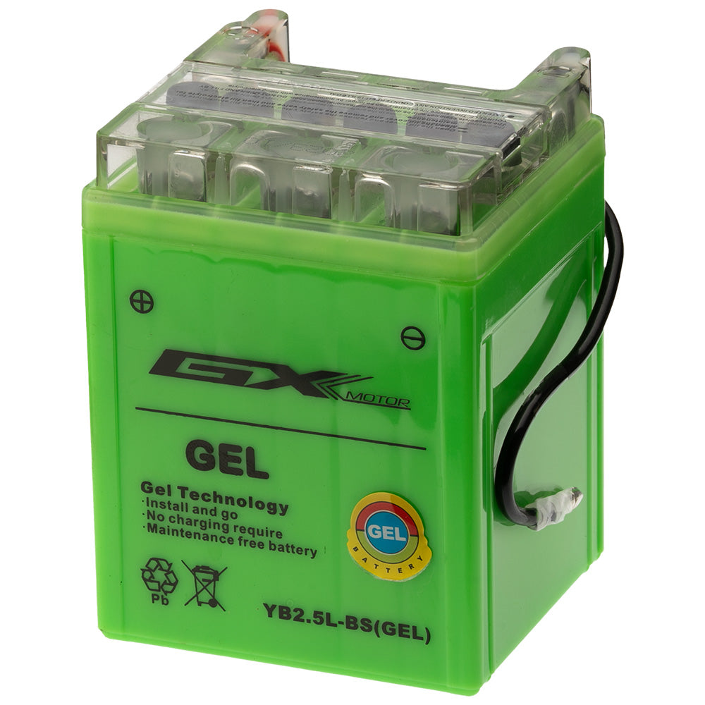 Batería en gel GX YB2.5L-BS