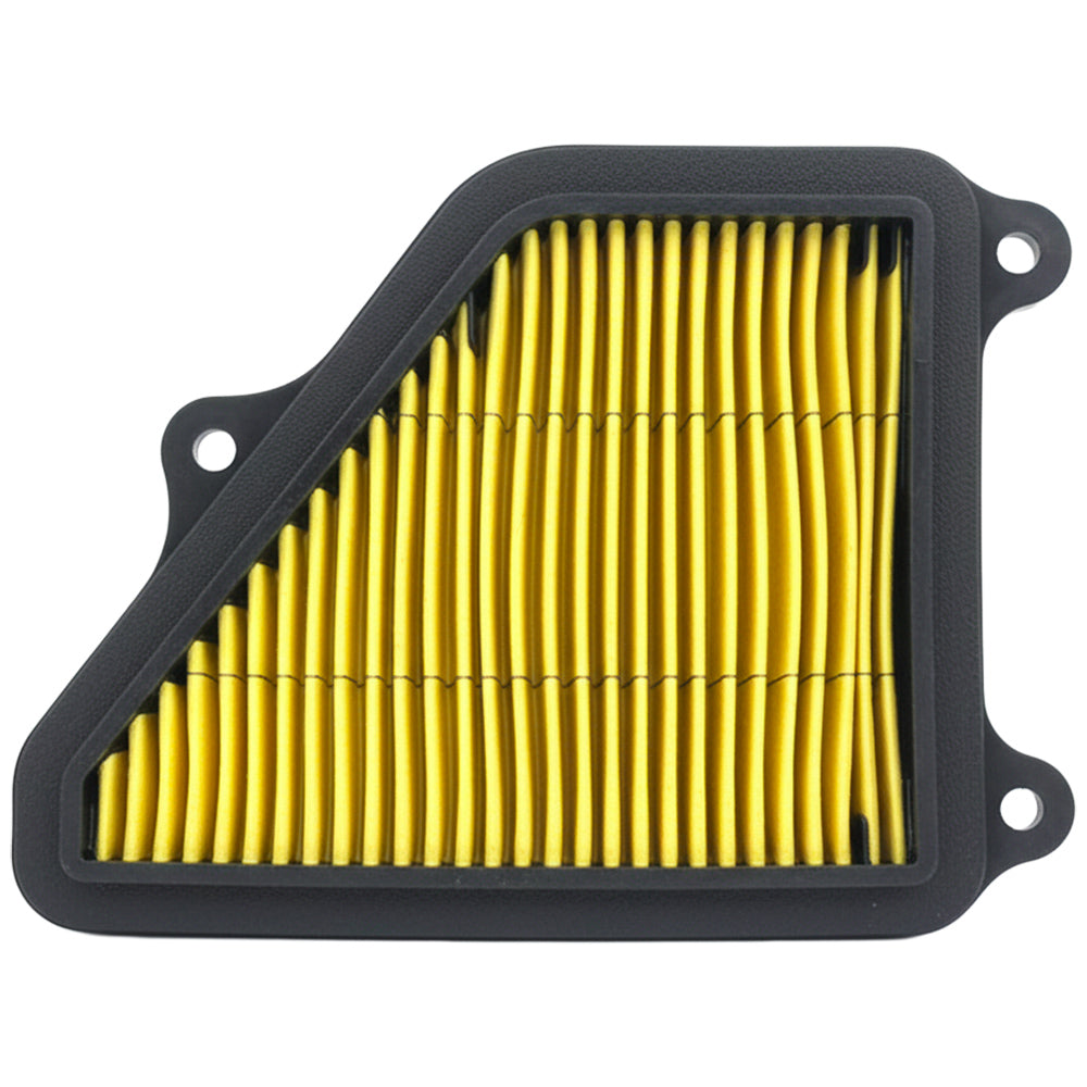 Filtro de aire AX4 GX Motor