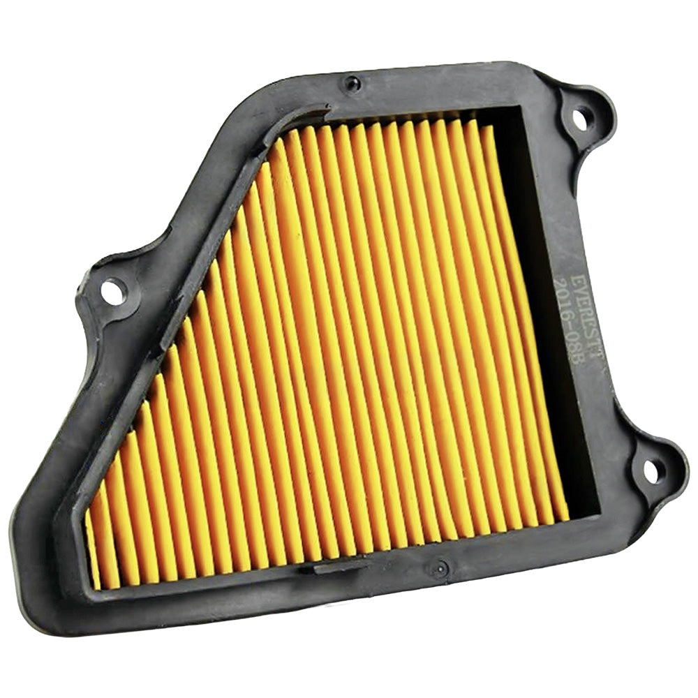Filtro de aire AX4 Everestt