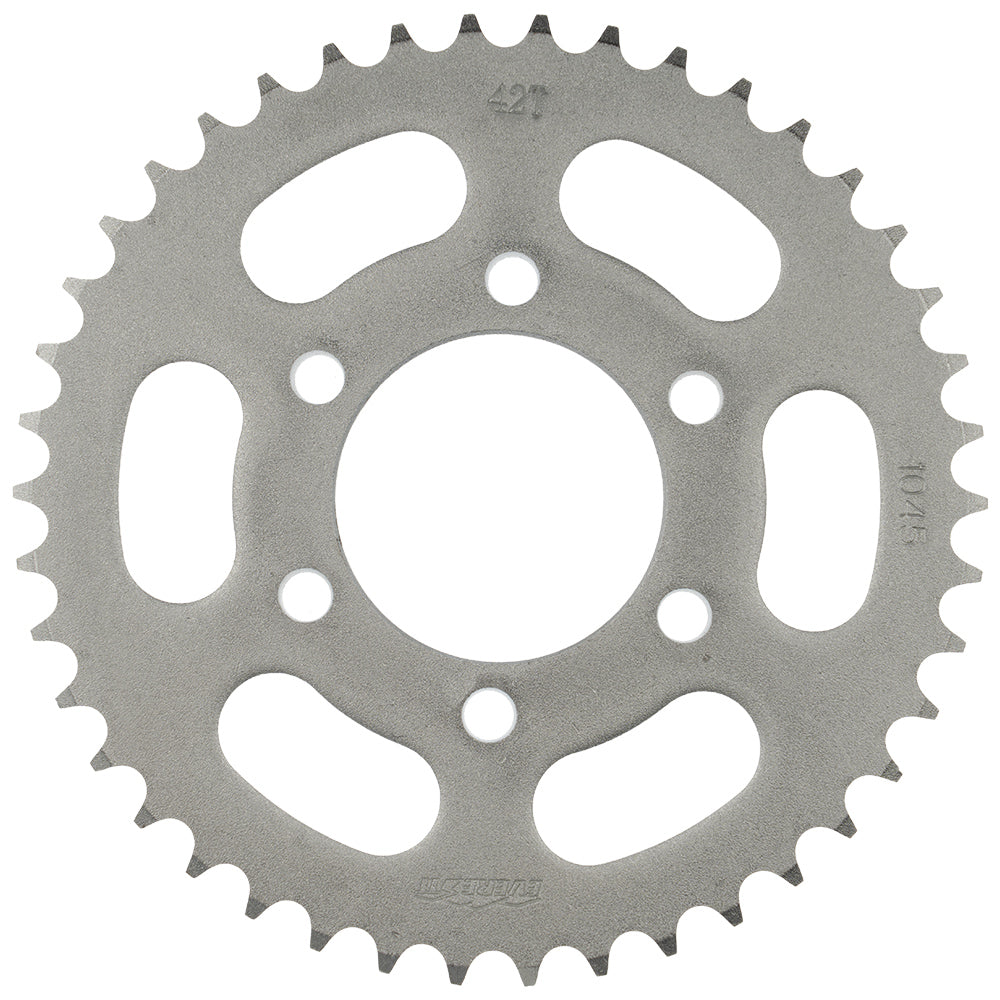 Sprocket tarsero Pulsar 180 DTSI/BM 100/BM 100 Clásica 6H 42T Everestt