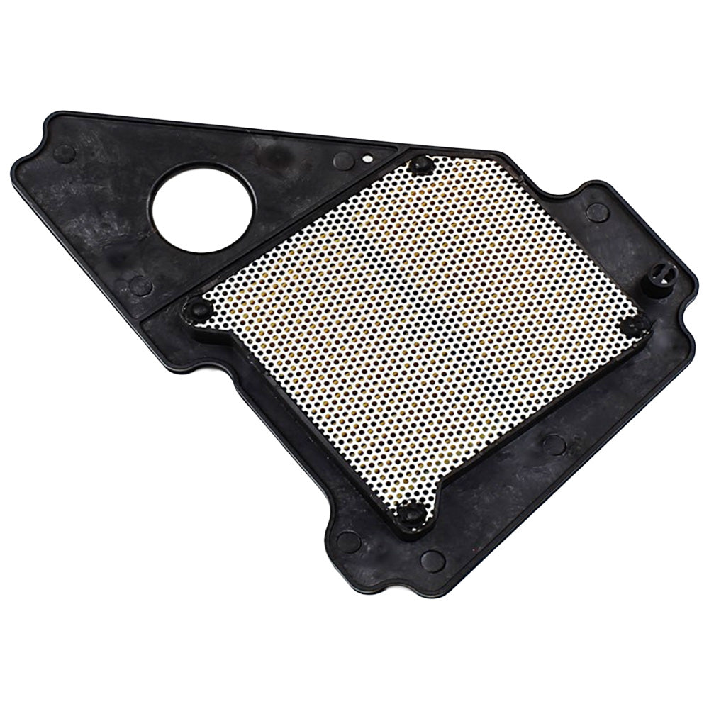 Filtro de aire Libero 125/YBR 125 GX Motor
