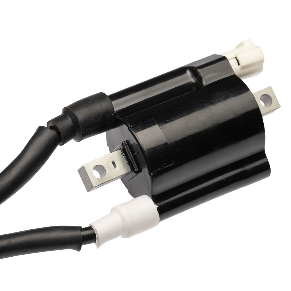 Bobina de encendido Pulsar NS 200 GX Motor